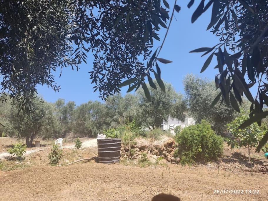 Corfu Oasis Studio Neochorakion Dış mekan fotoğraf