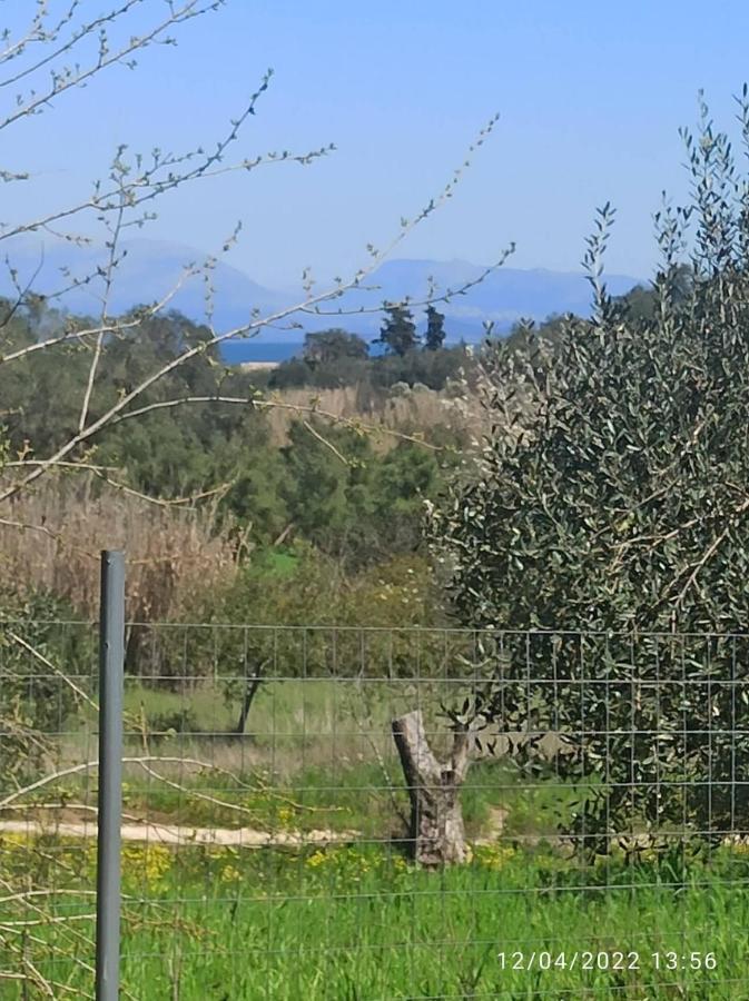 Corfu Oasis Studio Neochorakion Dış mekan fotoğraf